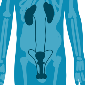 Andrologia e Urologia Poliambulatorio Guicciardini