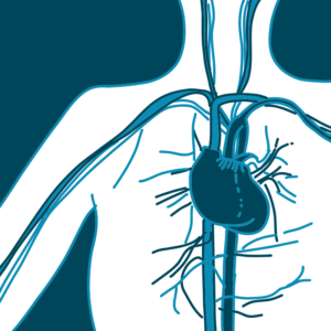 Cardiologia Poliambulatorio Guicciardini