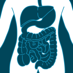 Gastroenterologia Poliambulatorio Guicciardini