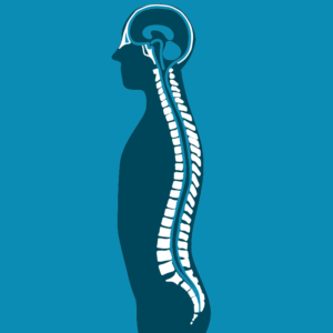 Neurochirurgia e microchirurgia vertebrale Poliambulatorio Guicciardini